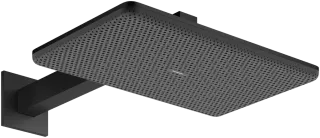 Верхний душ Hansgrohe Raindance Alive Q 2jet 24540670 матовый черный