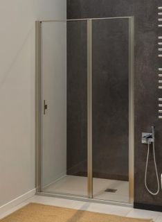 Душевая дверь Allen Brau Priority 120 3.31032.BA профиль Серебро браш