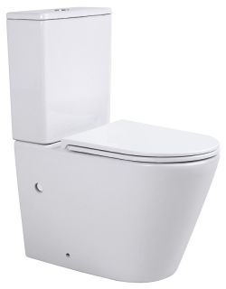 Напольный унитаз Sintesi Essler SIN-TP-SLR-281 безободковый белый