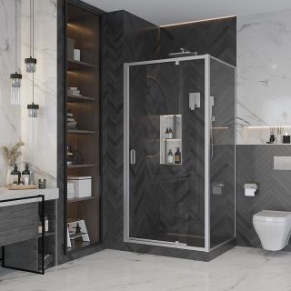 Душевой уголок Ambassador Elysium 111021103KX-100KX 90x100см хром/прозрачное