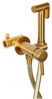 Гигиенический душ со смесителем Raiber Graceful RPG-009 золото матовое