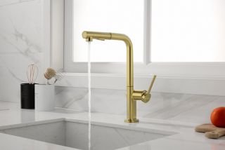 Смеситель для кухни Paulmark Neo Ne214419-BG брашированное золото