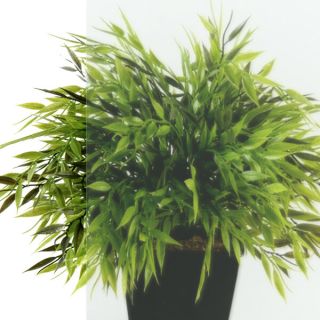 Душевой уголок Triton Вента Щ0000053381 90x90 см профиль чёрный стекло прозрачное