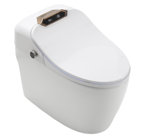 Унитаз биде Timo TE-731 подвесной Белый с Микролифтом