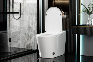 Электронный унитаз-биде ABBER Bequem AC1117S приставной белый