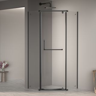 Душевой уголок RGW PA-081B 35088122-14 120x120см чёрный