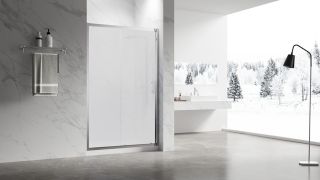 Душевая дверь Veconi Vianno VN-55M, 1500x1950, Хром, стекло матовое